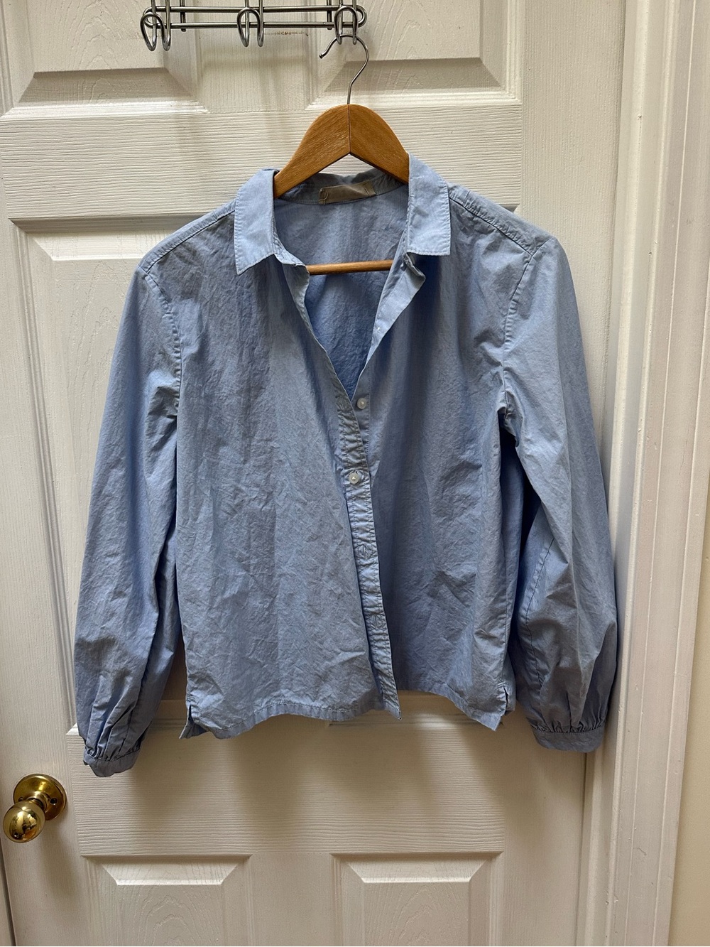 Everlane Organic Cotton Light Blue Button-Up Shirt top 2 cropped